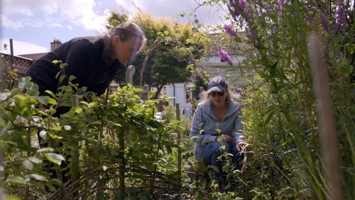 Read more about the article Designing Your Garden for Bats with Dr. Niamh Roche